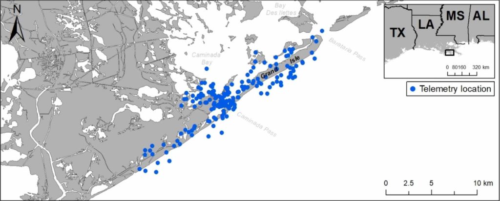 CARMMHA_tracking_3